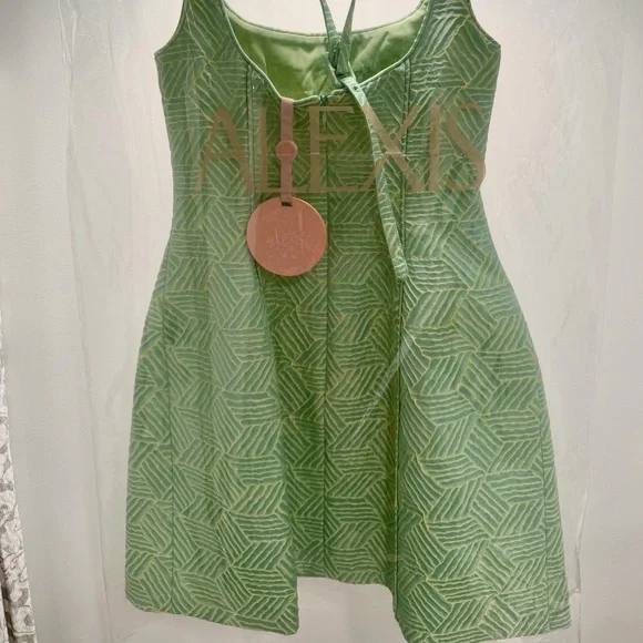 ALEXIS Bijoux Dress - Picture 6 of 7